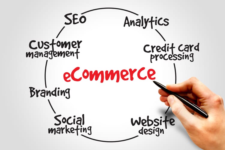 Ecommerce Search Engine Optimization